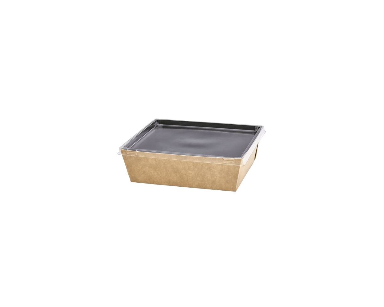 COALESCE SMALL CASE X 200    13318