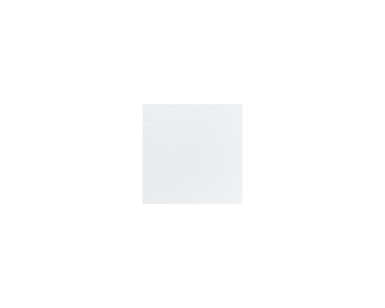 16"/40CM DUNILIN NAPKIN WHITE 540/CASE 186757